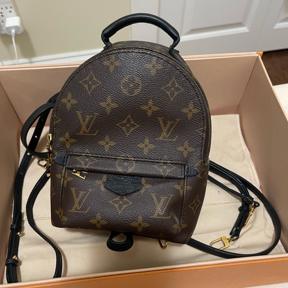 Louis Vuitton Palm Springs Mini Monogram